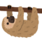 ナマケモノ