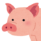 豚