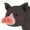 黒豚