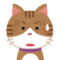 焦っている猫