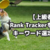 Rank Trackerを使ったキーワード選定・管理方法