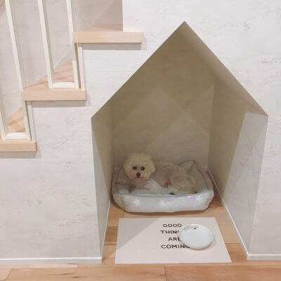 階段下を利用した犬スペースのイメージ